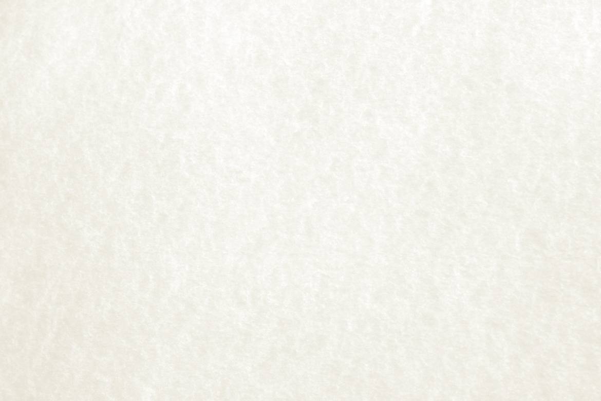 White Parchment Background | Intimate Weddings of Orlando